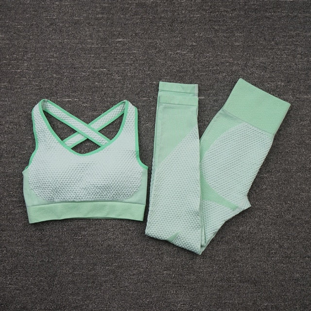 Seamless Yoga Sets Female Sport Gym suits Wear Running Clothes Fitness Sport