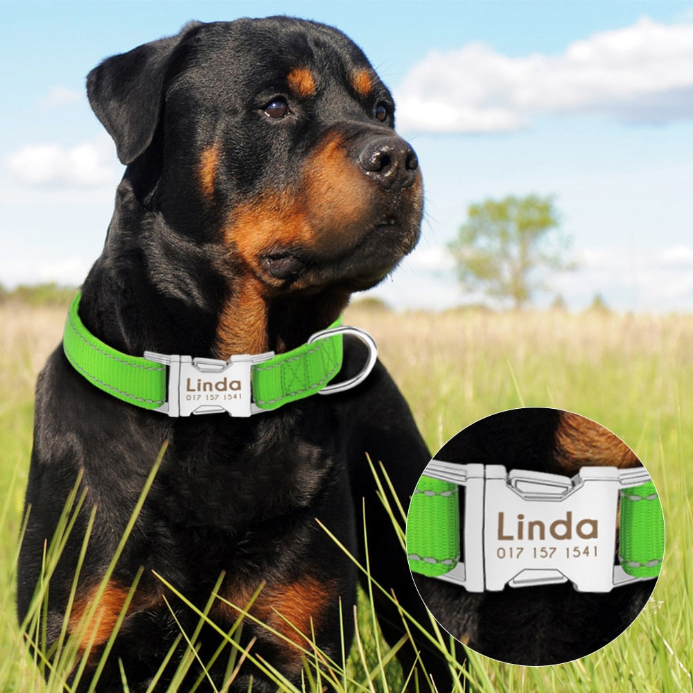 Personalized Pet Collar Reflective - GigaWorldStore