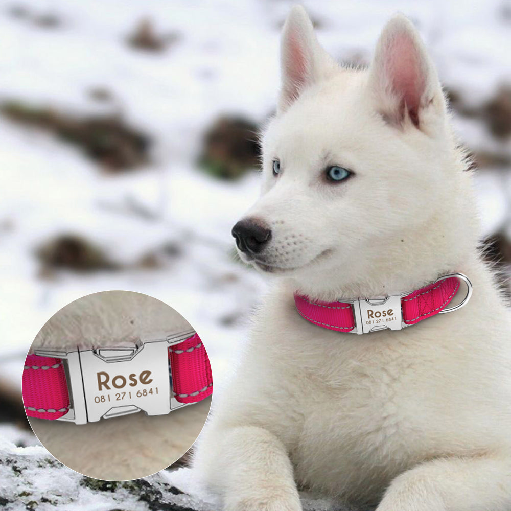 Personalized Pet Collar Reflective - GigaWorldStore