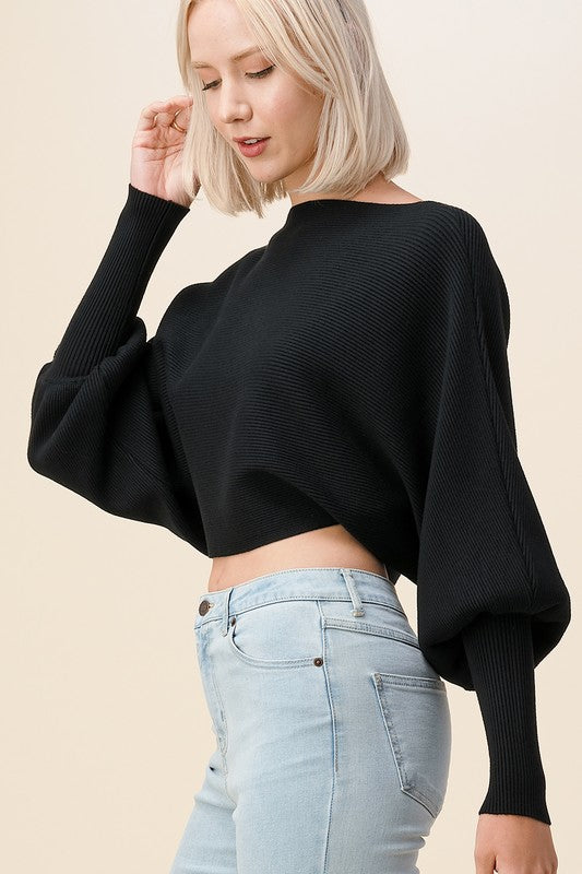 Crop Long Sleeve Sweater Top
