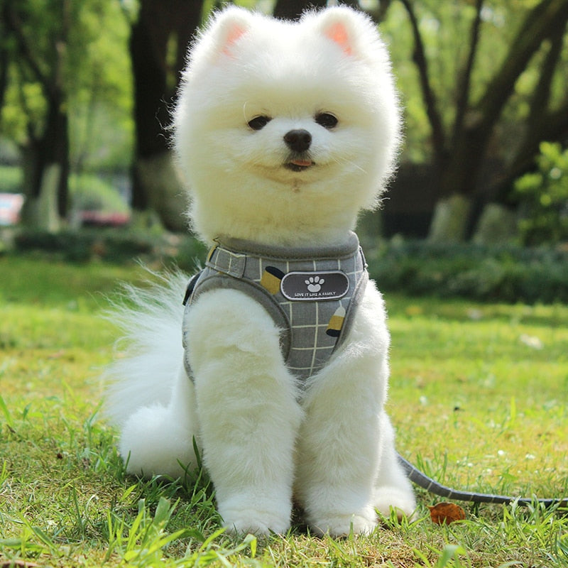 Harness Reflective Puppy Kitten Collars Mesh Vest Adjustable Small Dog Cat Leash